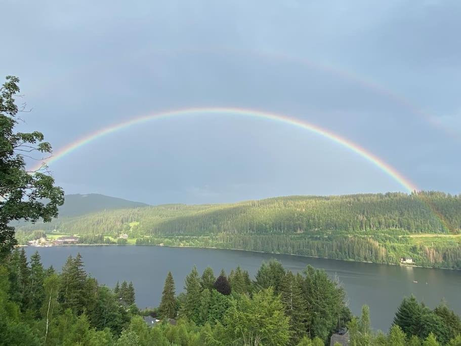 Ferienwohnung Lotti + Hochschwarzwald Card Тітізе-Нойштадт Екстер'єр фото