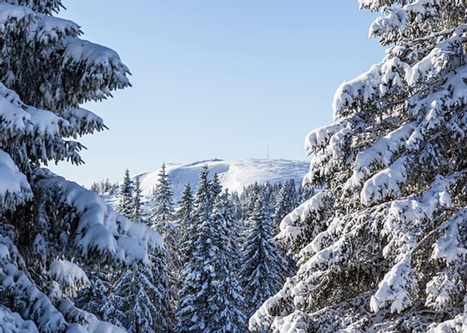 Ferienwohnung Lotti + Hochschwarzwald Card Тітізе-Нойштадт Екстер'єр фото