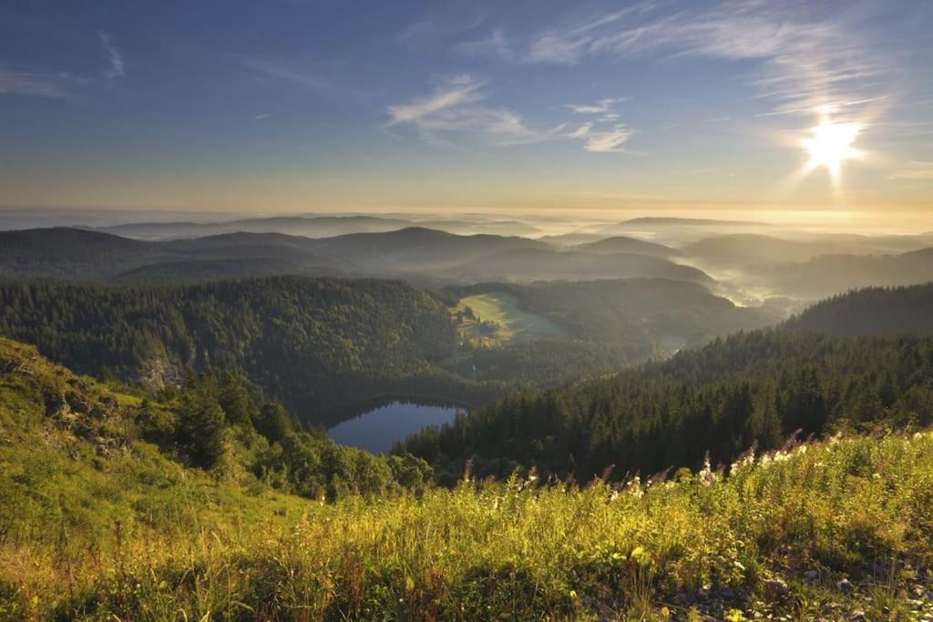 Ferienwohnung Lotti + Hochschwarzwald Card Тітізе-Нойштадт Екстер'єр фото