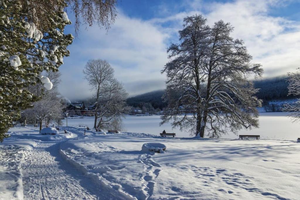 Ferienwohnung Lotti + Hochschwarzwald Card Тітізе-Нойштадт Екстер'єр фото